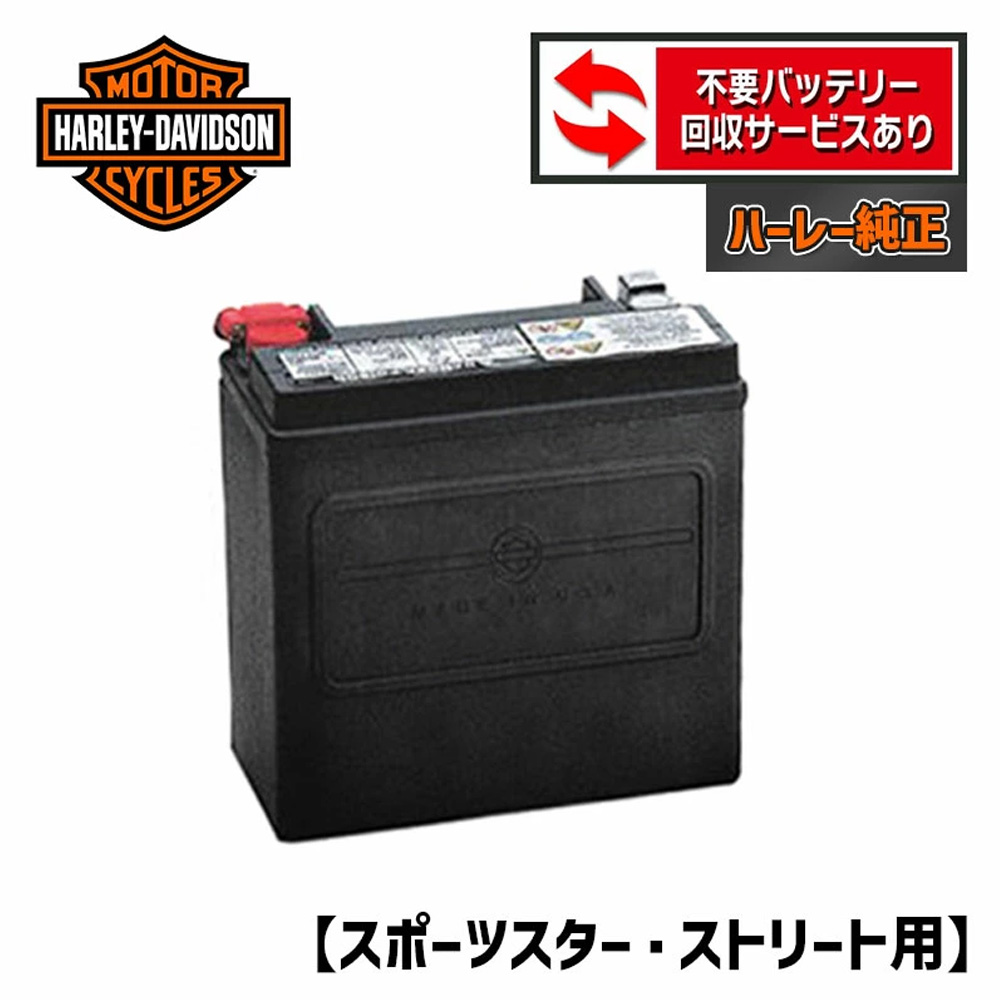 標準装備 AGMバッテリー