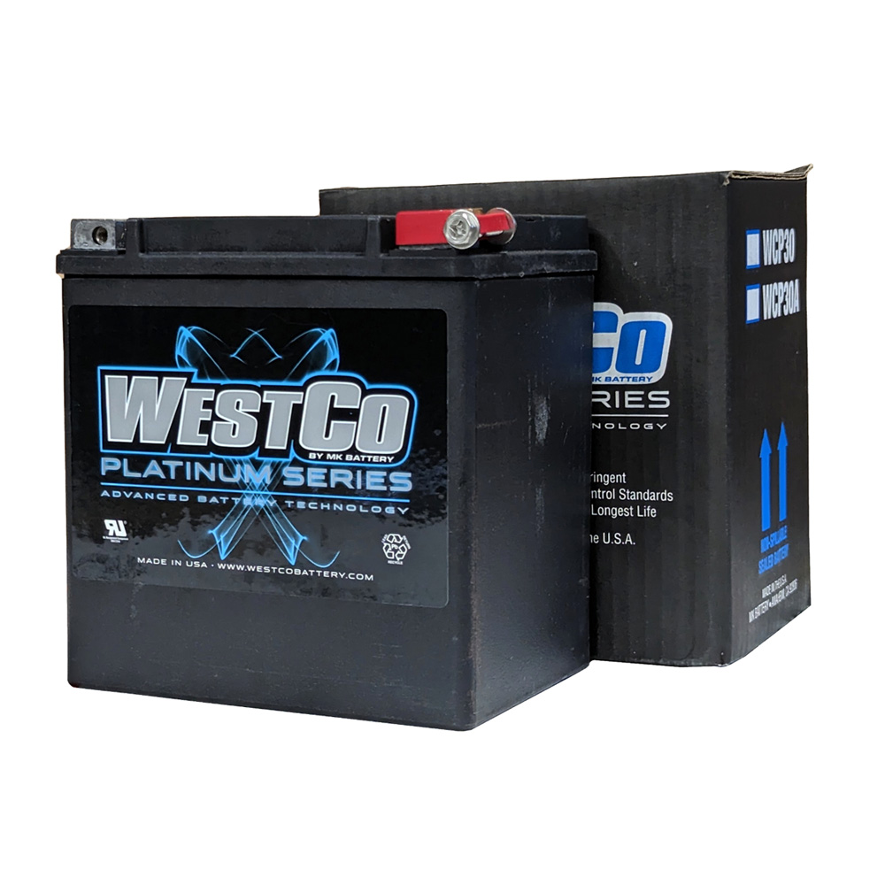 AGMバッテリー WCP30