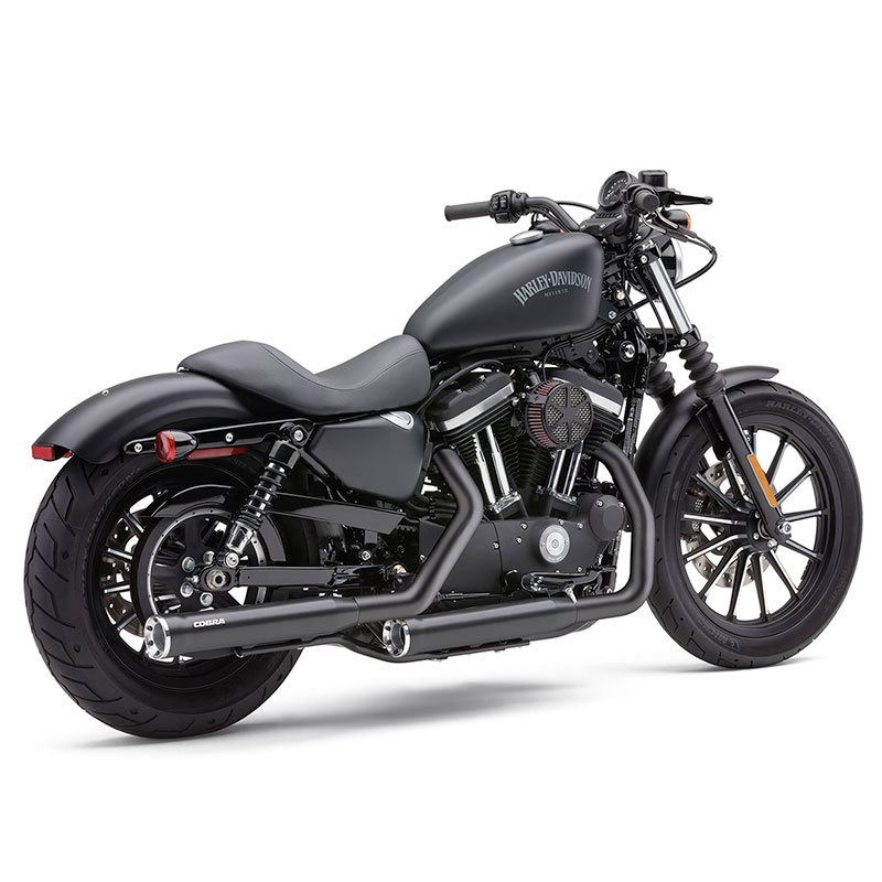 レースプロチップ 3インチ スリップオンマフラー ブラック