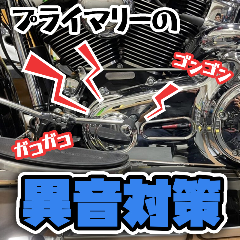 スムーズアイドルスプリング(コンペンセーター強化ダイヤフラムスプリング) プラチナプライマリーオイル付き