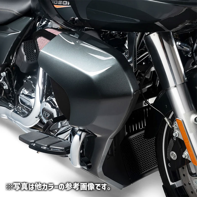 ロワーフェアリング ビビッドブラック