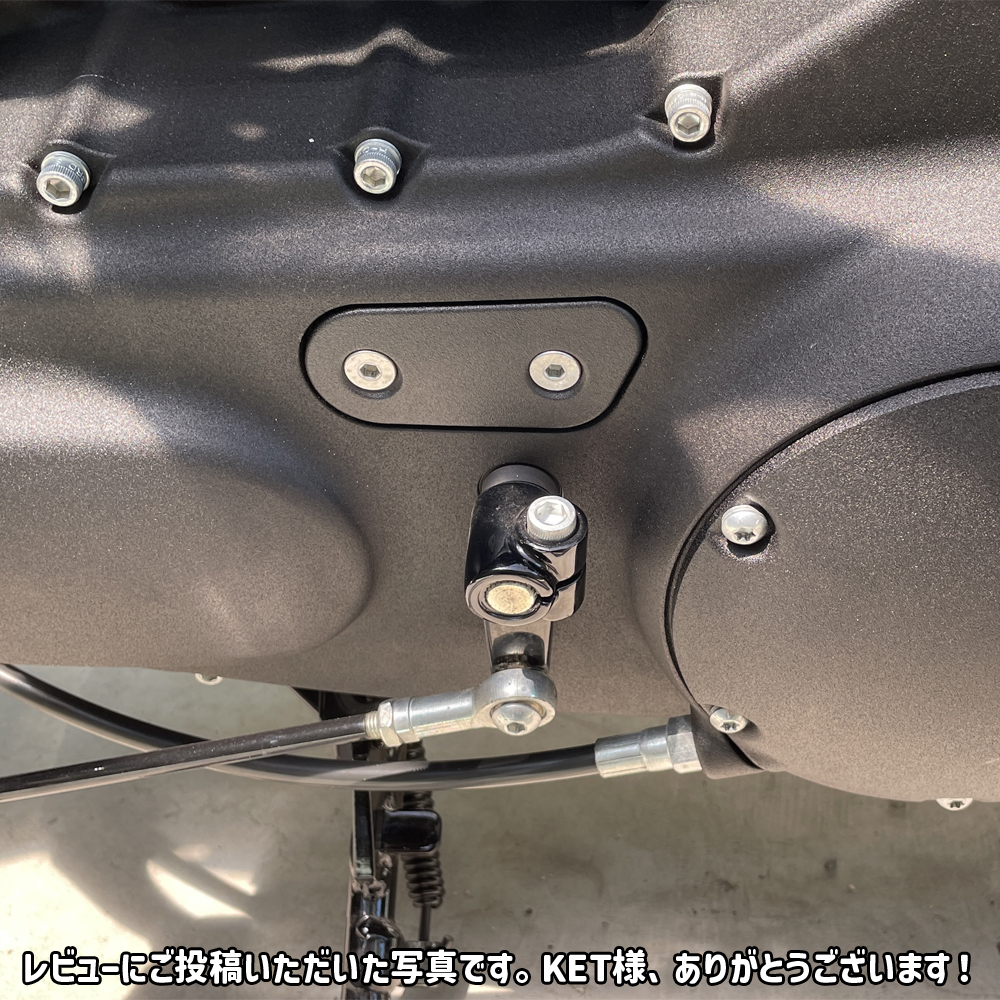 プライマリーチェーン インスペクションカバー リンクルブラック