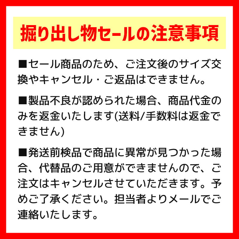 【12月限定セール】ヒートガード ダイナ ツインスラッシュ用 リアのみ クローム