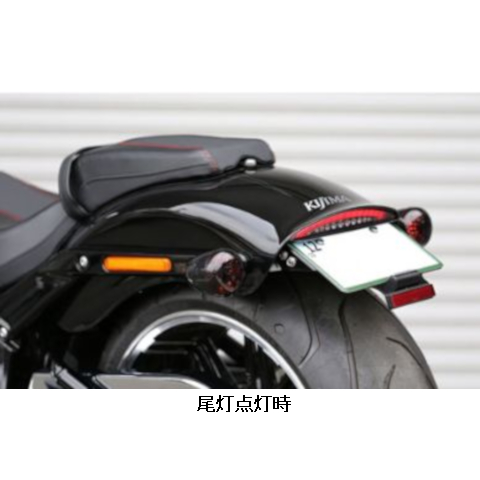 LEDスリムテールランプキット スモークレンズ